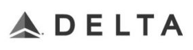 Delta Airlines